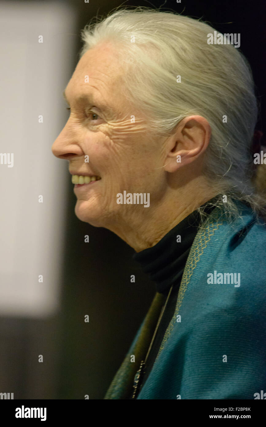 Rosemont, Pennsylvania, USA. Xv Sep, 2015. dr. Jane Goodall, DBE, uno del mondo più rinomato conservazionisti, offrendo una lezione, "a causa della semi di speranza", circa il suo innovativo lavoro studiando gli scimpanzé allo stato selvatico e il suo impegno di lunga data per proteggere l'ambiente all'Agnese irwin scuola. Credito: kelleher fotografia/alamy live news Foto Stock