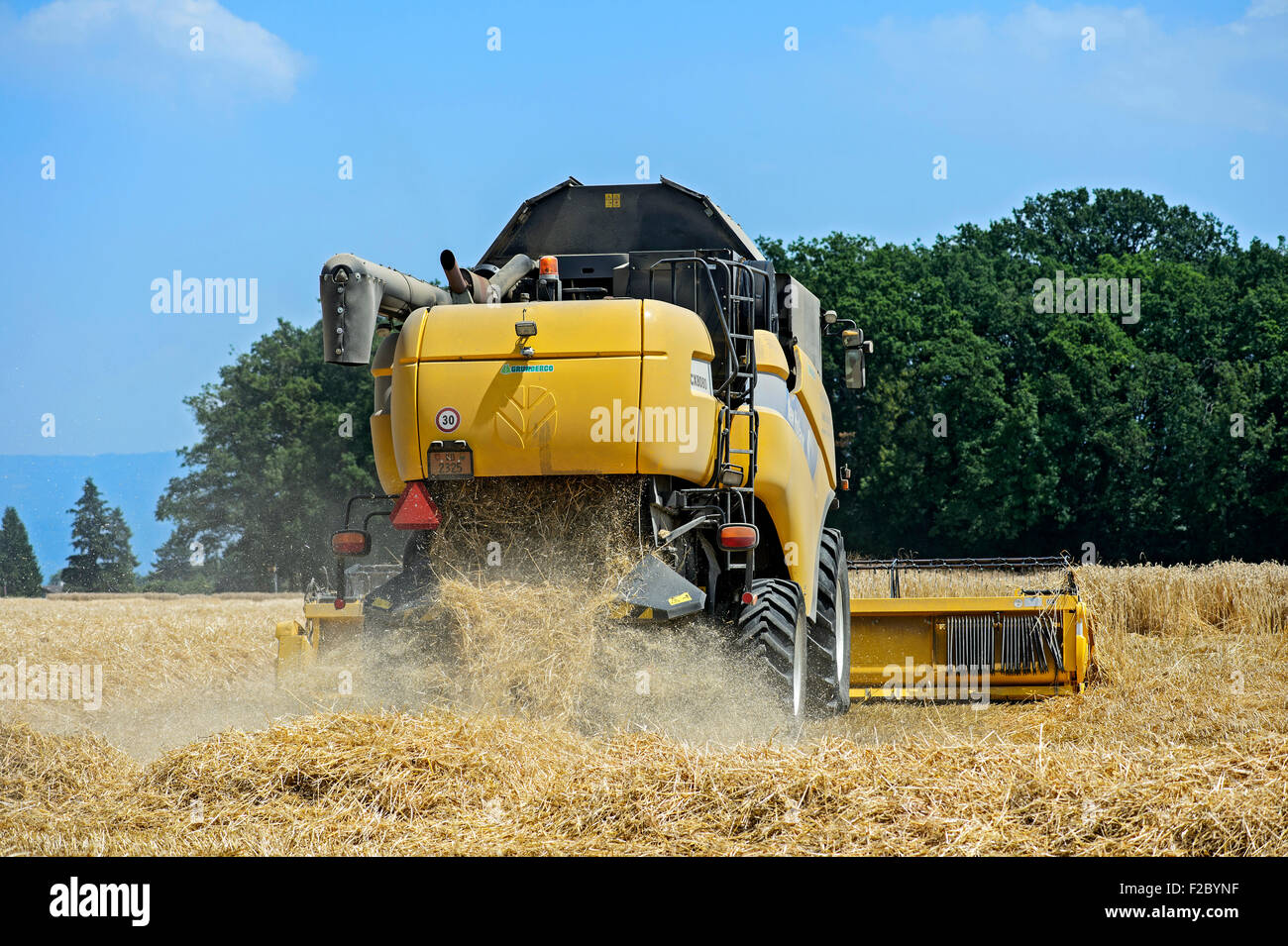 New Holland CX8080, mietitrebbia, il raccolto di grano di inverno, Cantone di Ginevra, Svizzera Foto Stock
