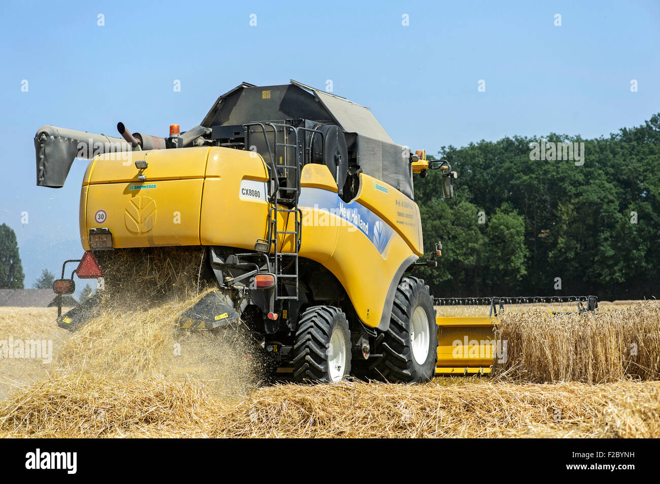 New Holland CX8080, mietitrebbia, il raccolto di grano di inverno, Cantone di Ginevra, Svizzera Foto Stock