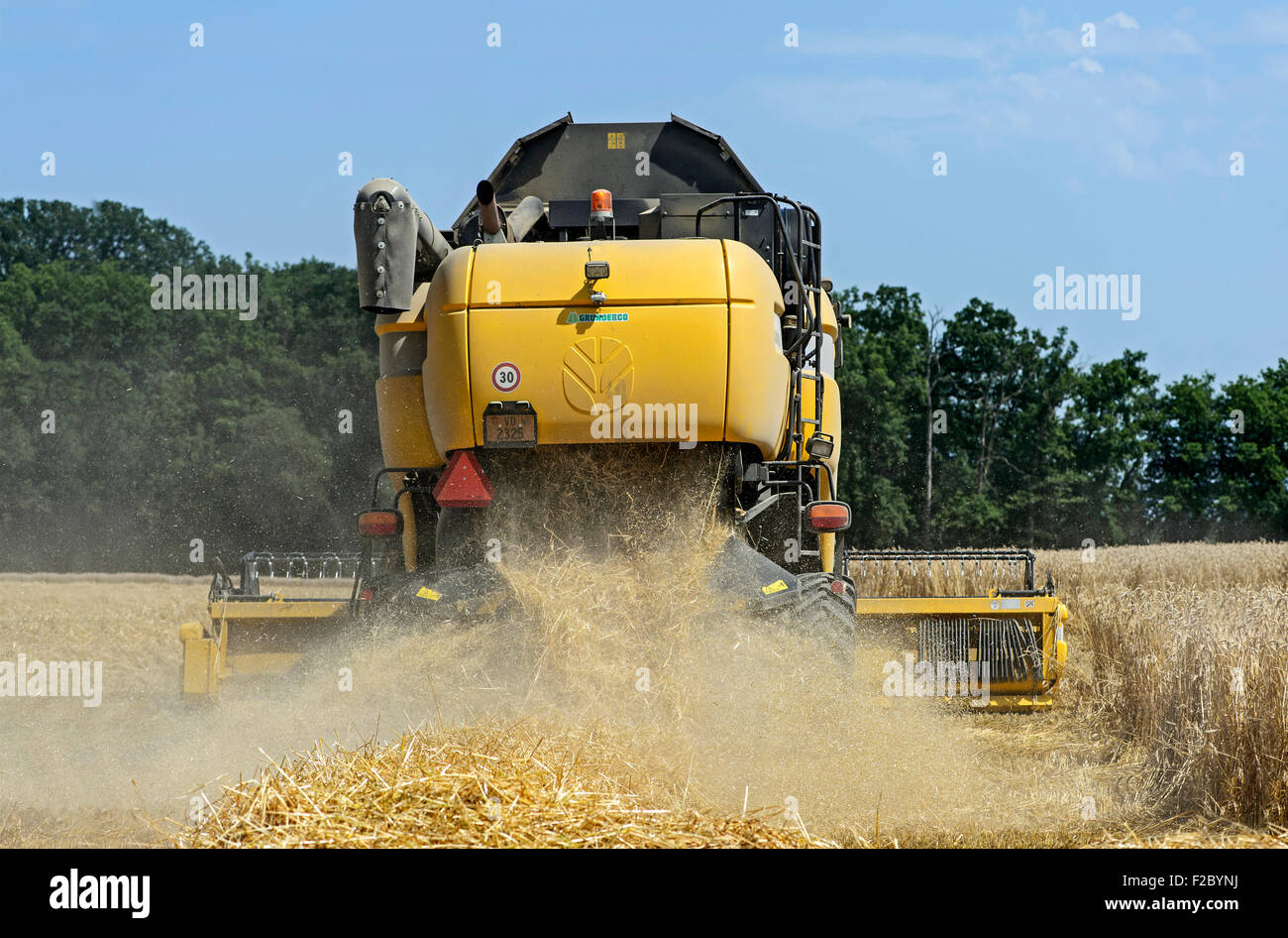 New Holland CX8080, mietitrebbia, il raccolto di grano di inverno, Cantone di Ginevra, Svizzera Foto Stock