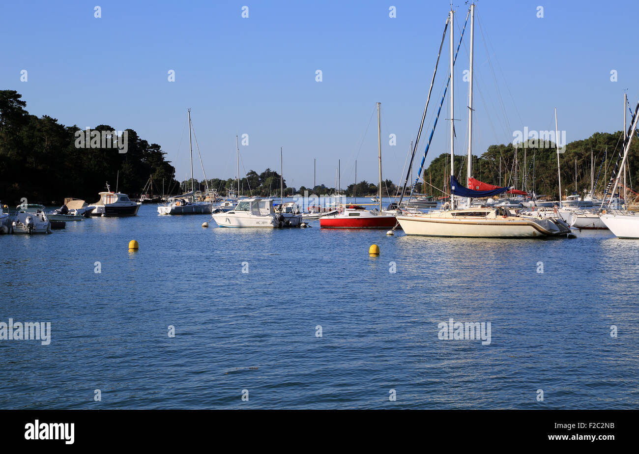 Vista su Porto Anna dalla Presqu'ile de conleau ad alta marea con barche ormeggiate, Vannes, Morbihan, in Bretagna, in Francia, in Europa Foto Stock