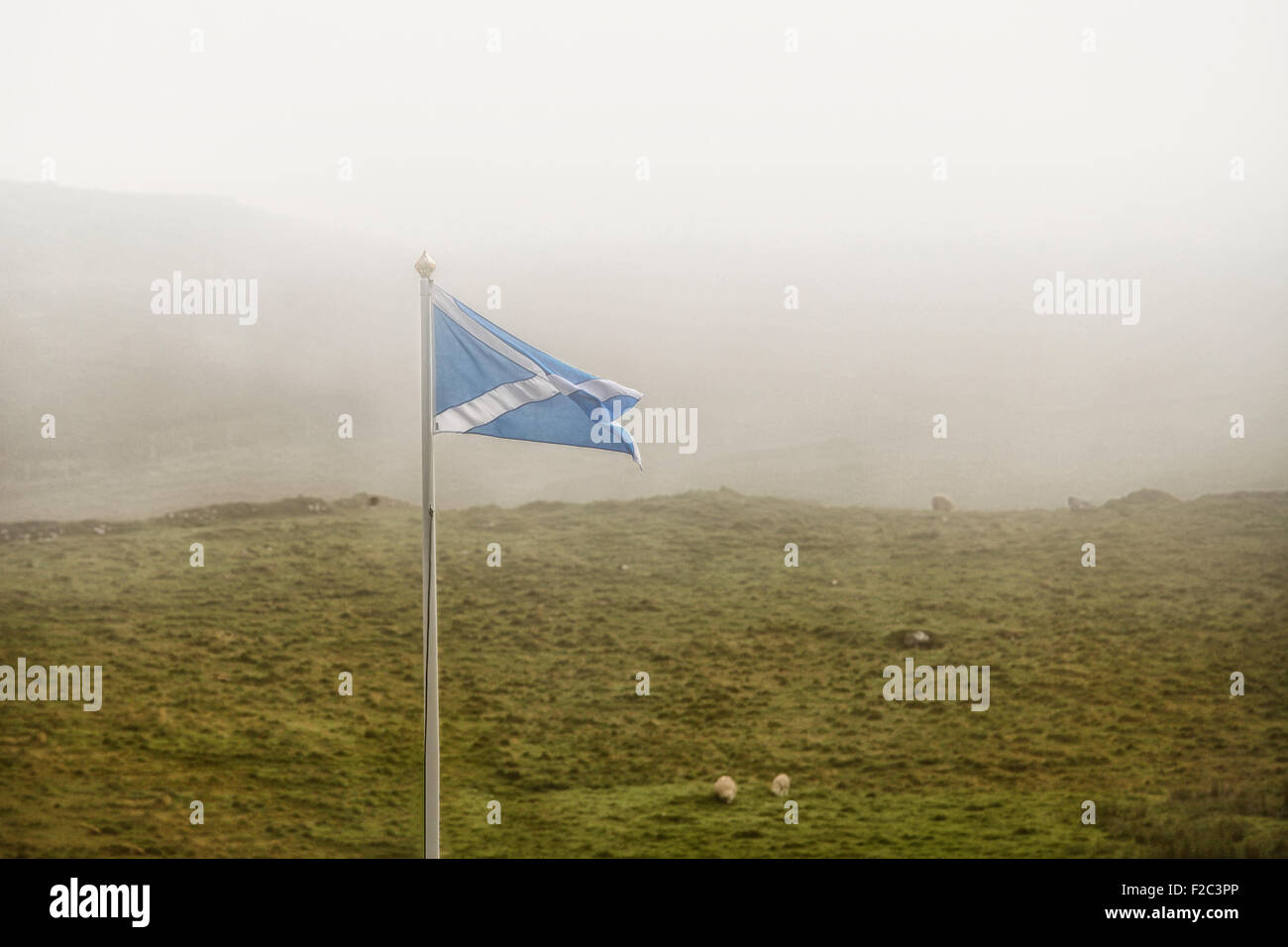 Bandiera scozzese battenti nel paesaggio di nebbia Foto Stock