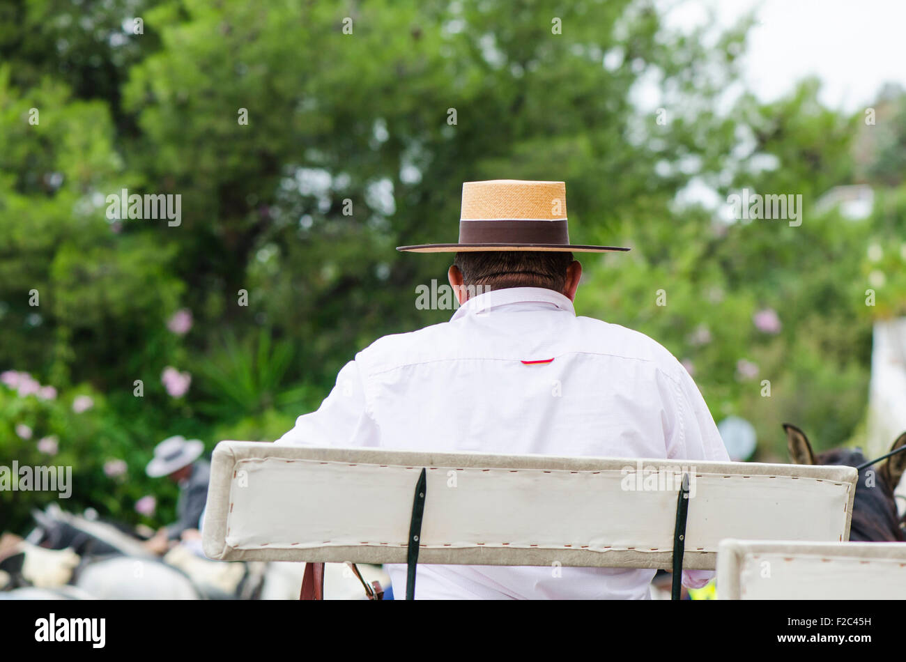 Uomo che indossa Cordobes hat e costume tradizionale sul carrello del cavallo da dietro, durante la feria di Mijas Andalusia, Spagna. Foto Stock