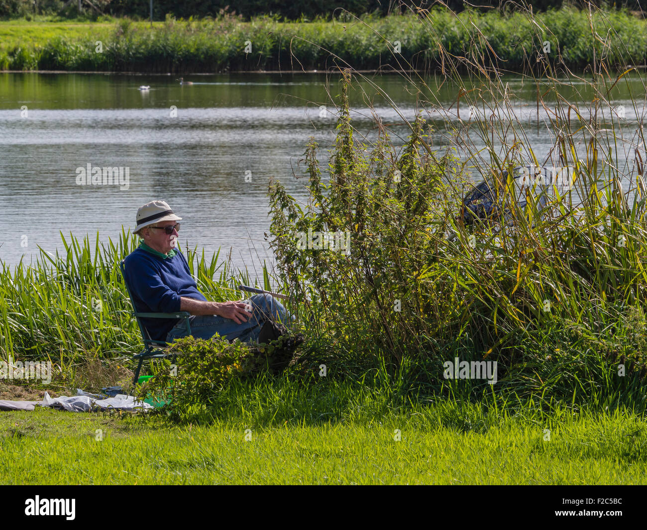 Uomo di pesca sul banco di laghi a Longham, Ferndown Dorset, England, Regno Unito Foto Stock