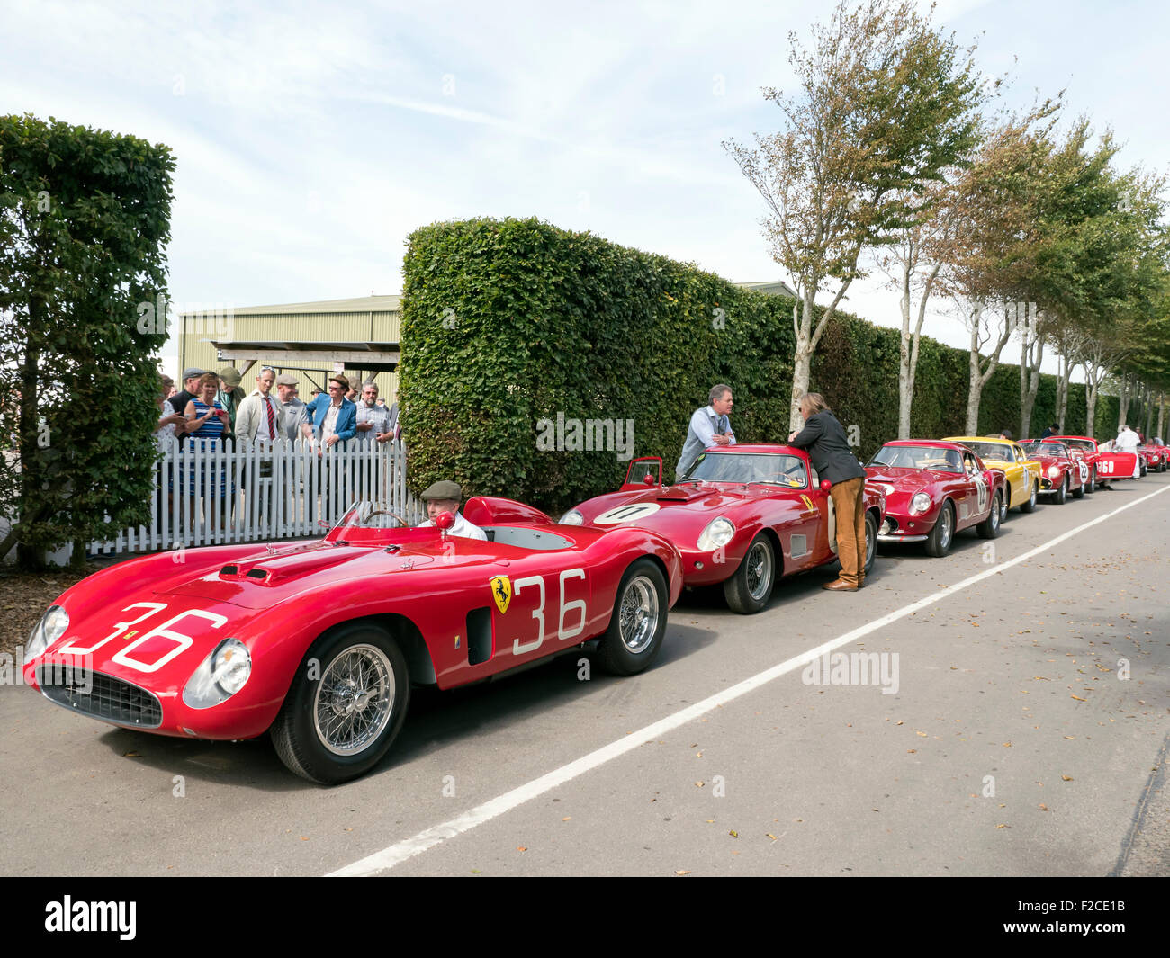 Classico Ferrari sports cars racing in legno buono incontro Revival West Sussex Regno Unito Foto Stock