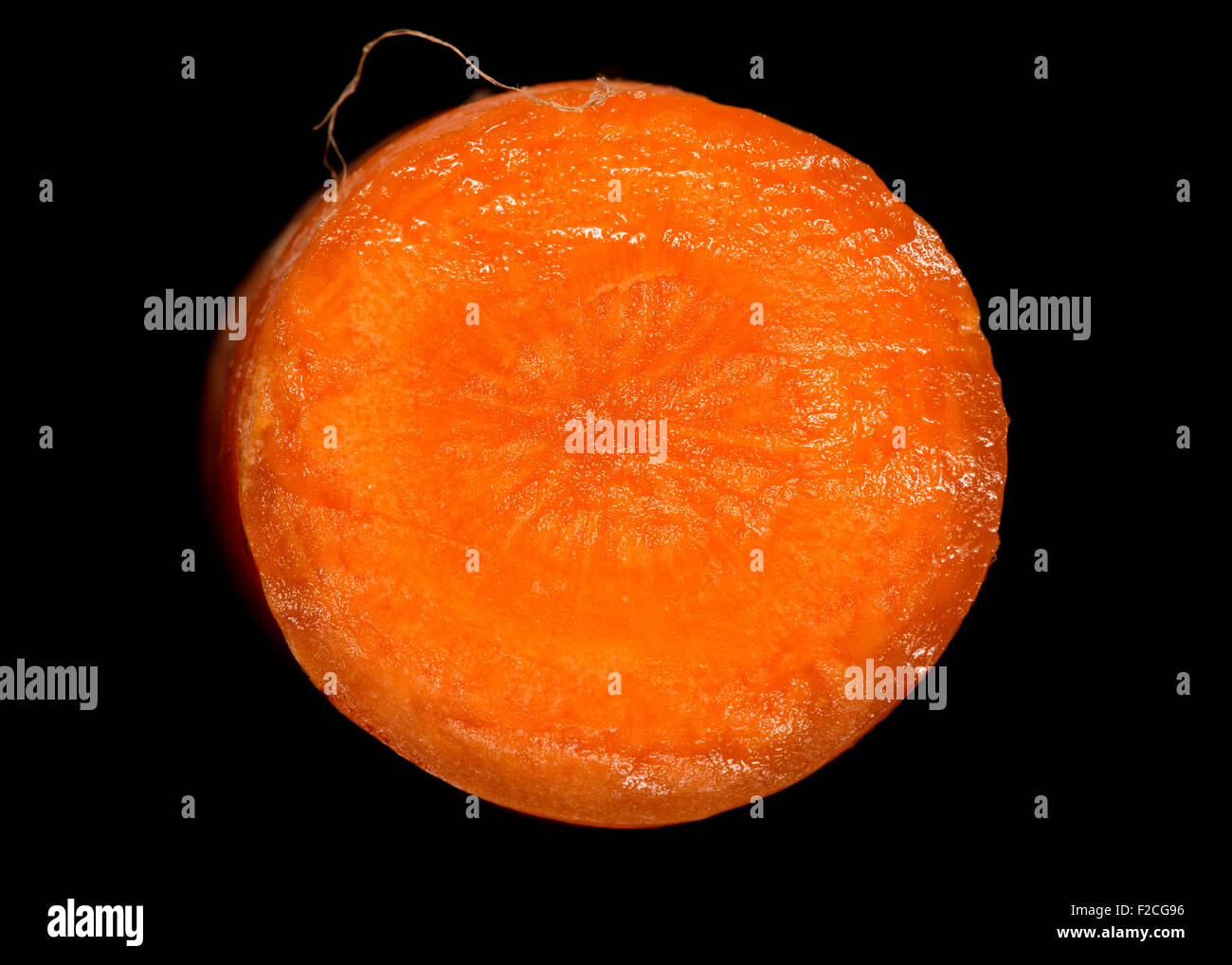 All'interno di una carota su sfondo nero Foto Stock