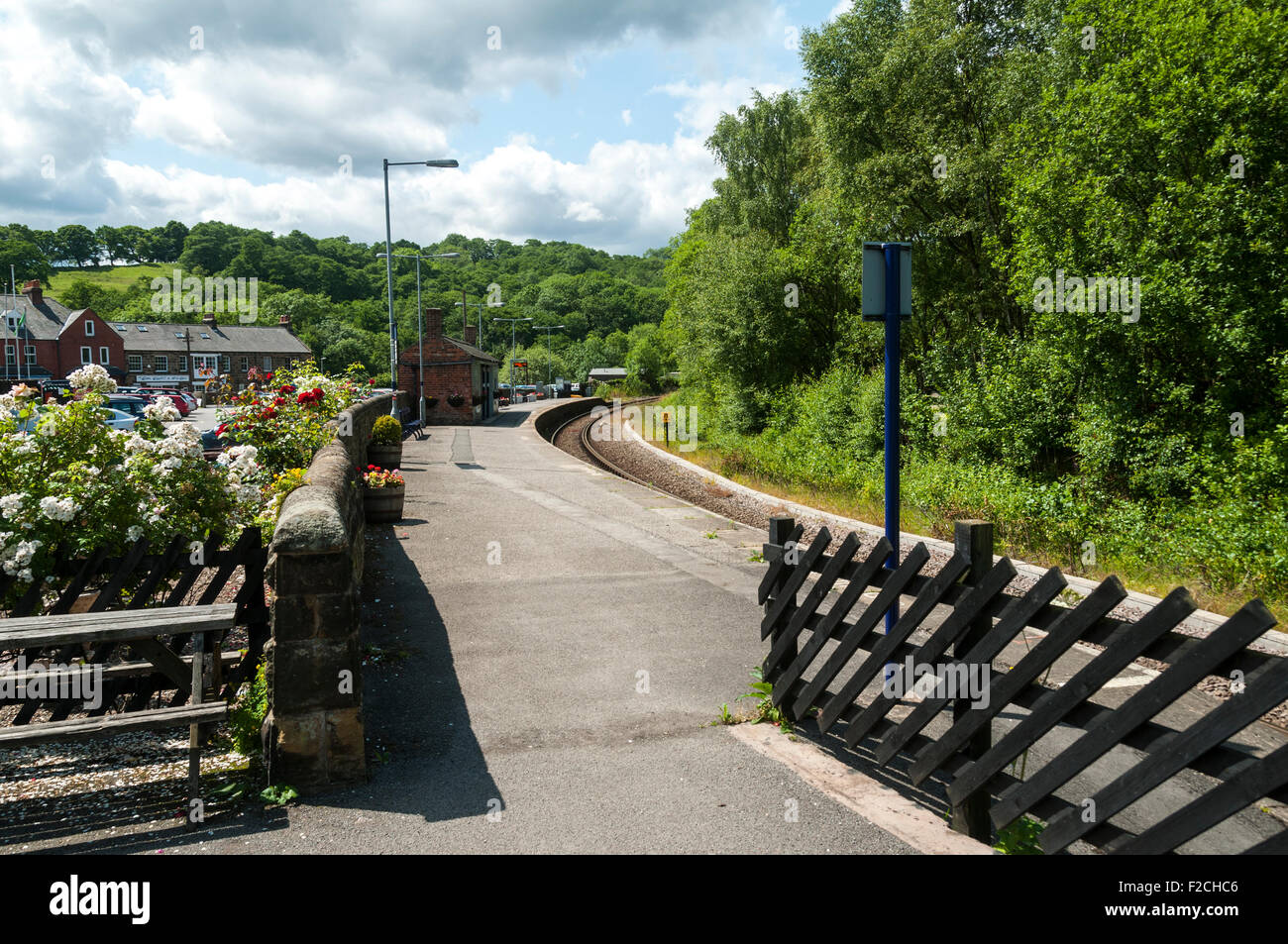 La Valle di Esk linea (la guida della rete) a Grosmont stazione dove si congiunge con il North Yorkshire Moors linea, Yorkshire, Inghilterra, Regno Unito Foto Stock