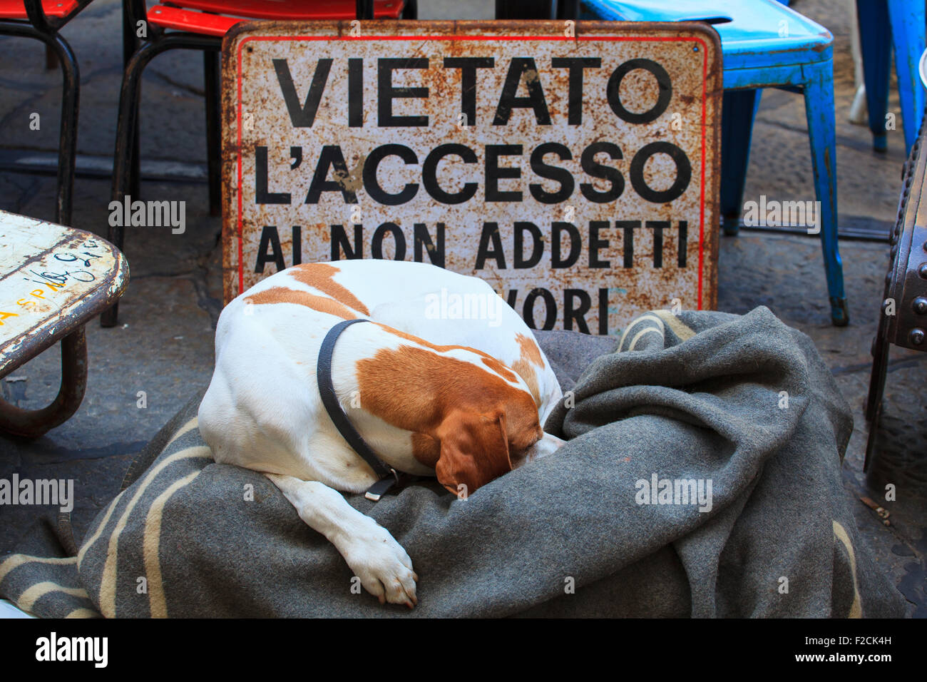 Cane dorme accanto al cartello con scritto "Accesso negato" Foto Stock