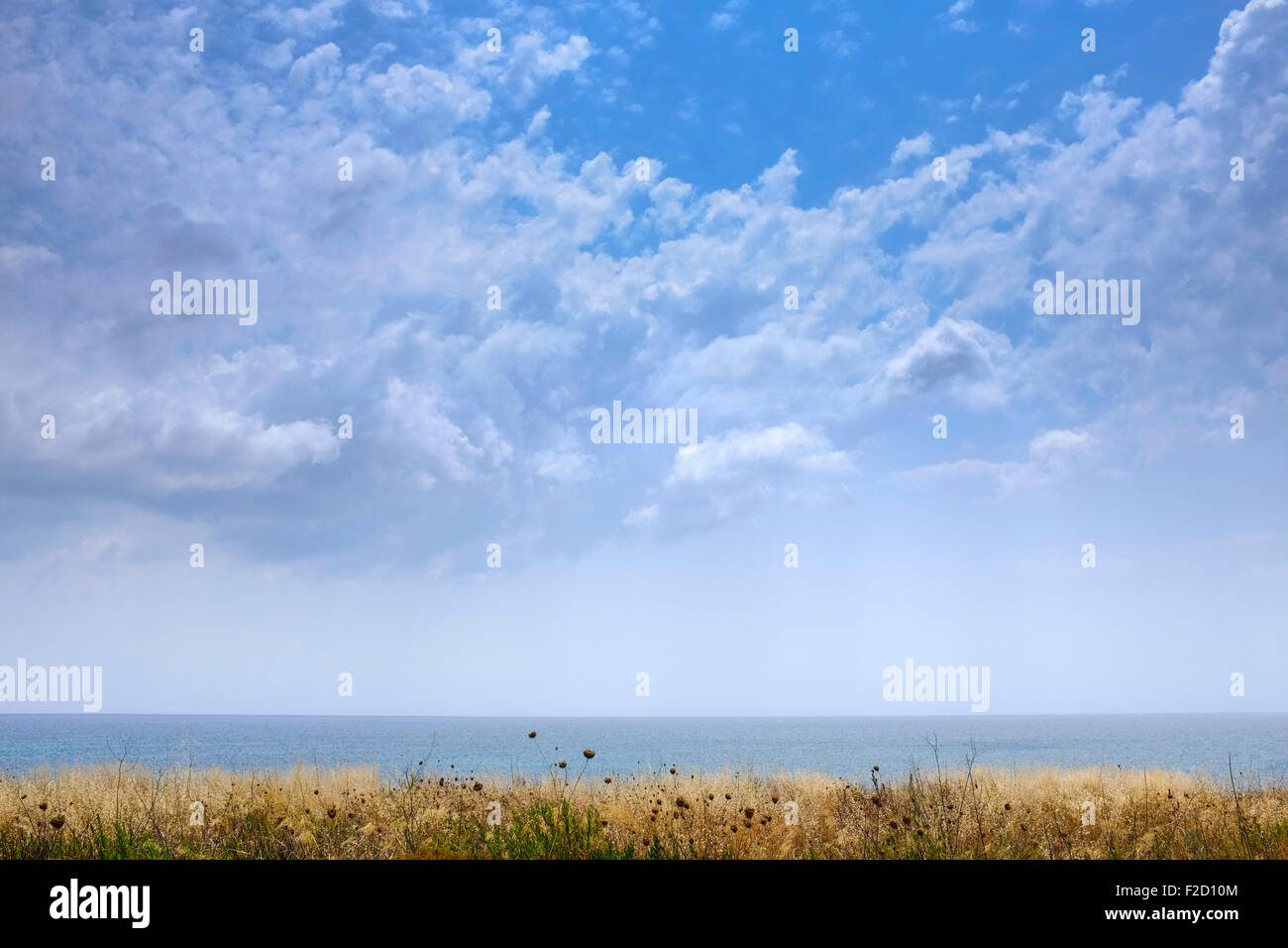 Chiara visione naturale in mare con puffy estate nuvole ed erbe in primo piano. Foto Stock