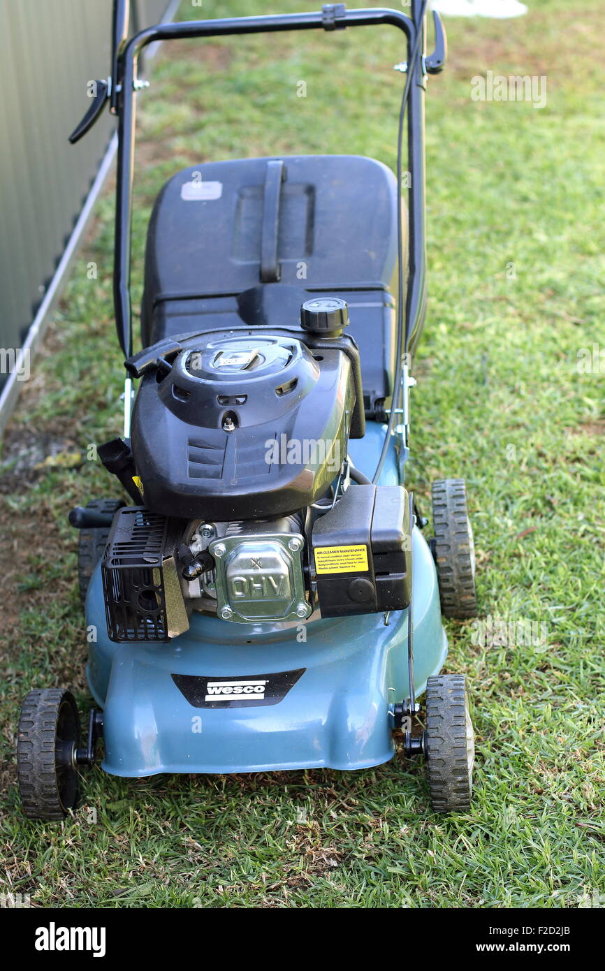 Tosaerba sull'erba Foto Stock