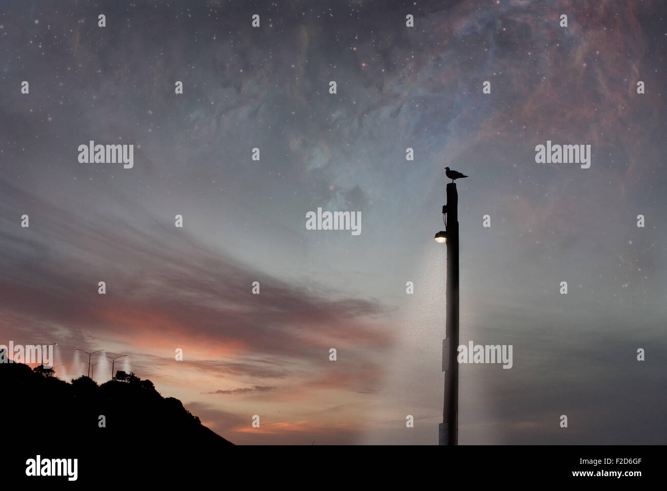 Scena di fantasia con uccello in piedi su un palo della luce. Foto Stock