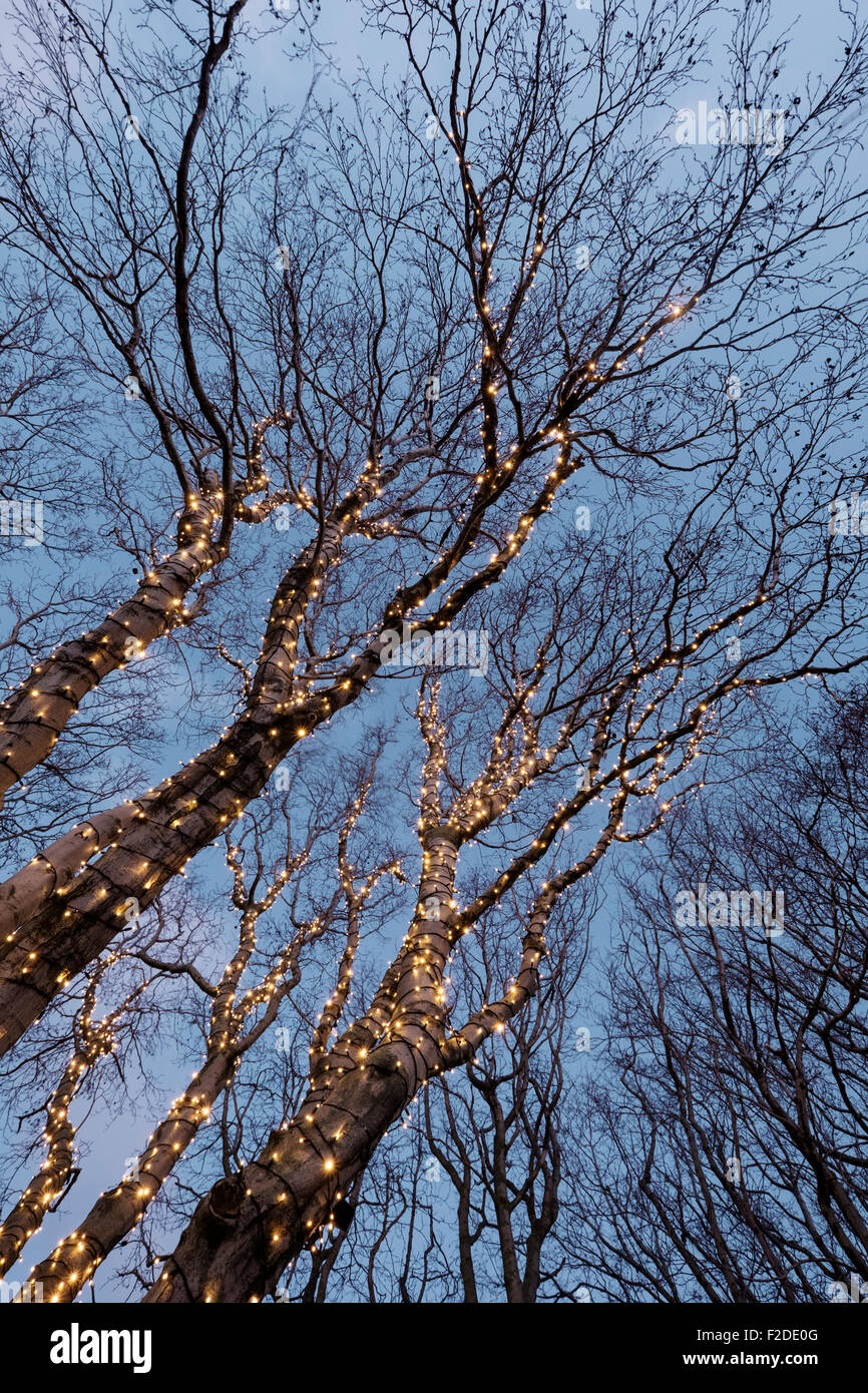 Bellissime decorazioni di Natale in una struttura ad albero Foto Stock