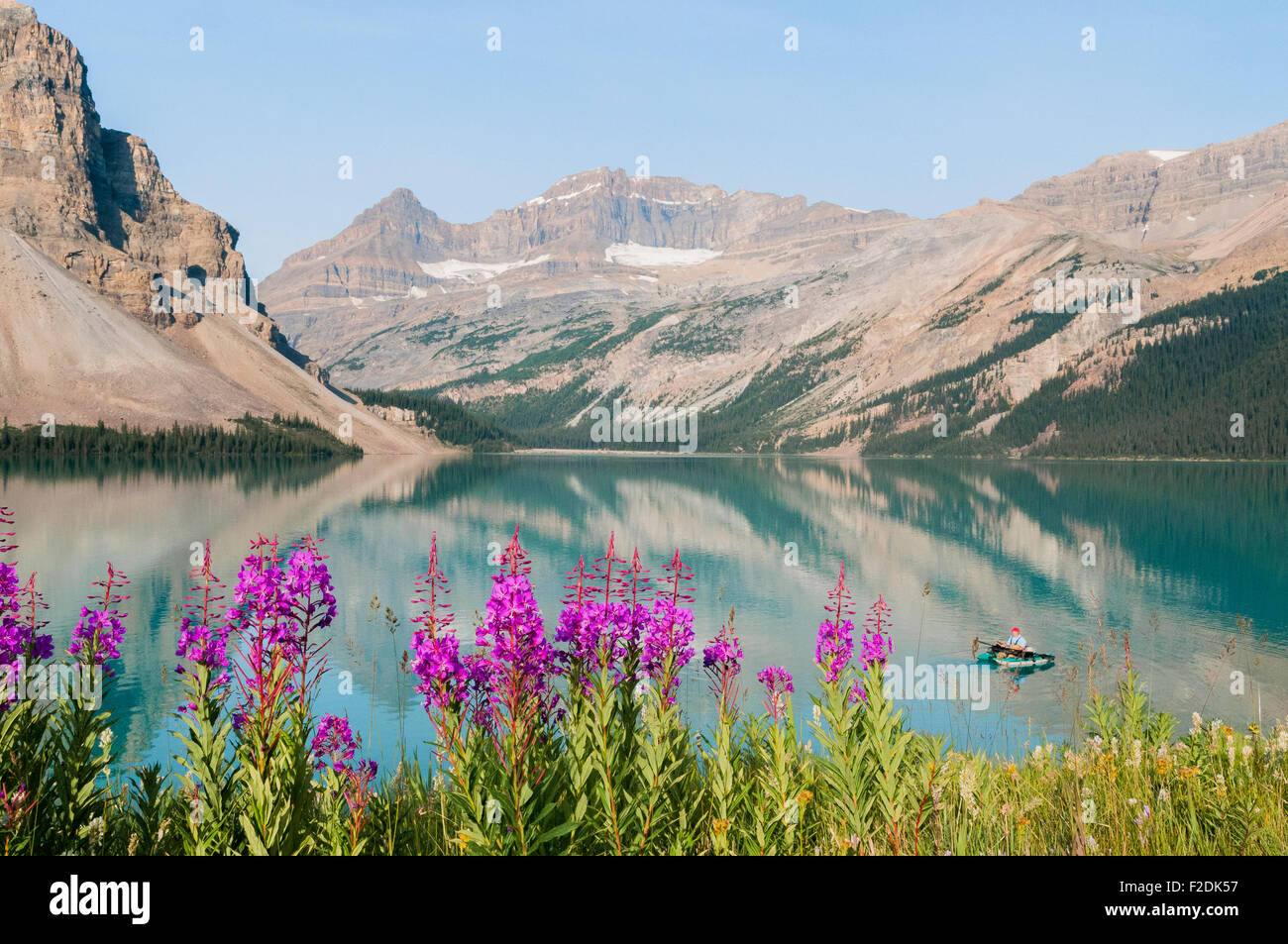 Pescatore, Bow Lake, il Parco Nazionale di Banff, Alberta, Canada Foto Stock