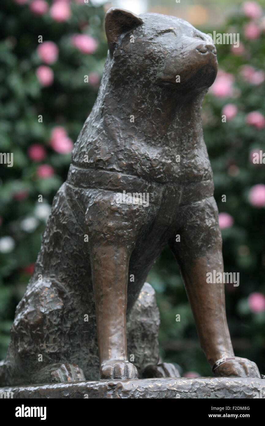 Hachiko statua con fiori di colore rosa in background Foto Stock