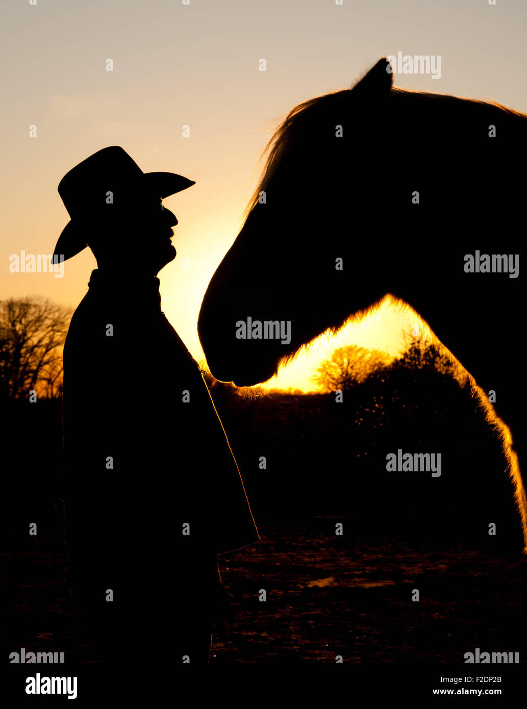 Silhouette di un cowboy e il suo grande cavallo contro il tramonto, faccia a faccia Foto Stock