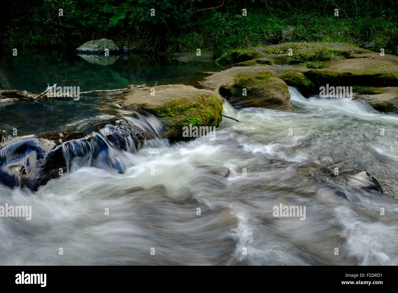 Sul Fiume Nerang a Lione Crossing, Numinbah Valley Foto Stock