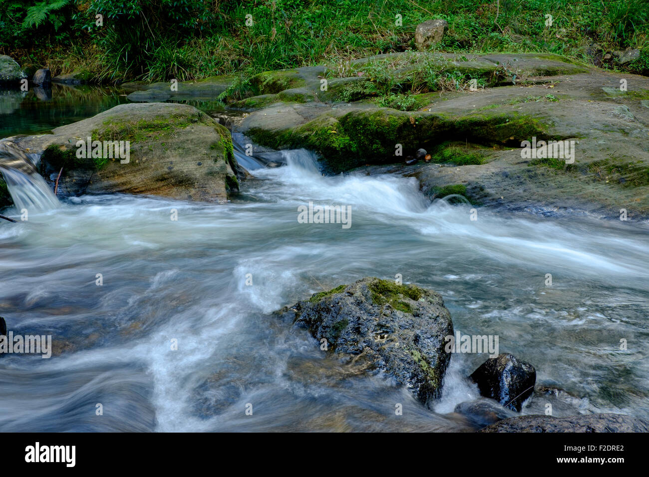 Sul Fiume Nerang a Lione Crossing, Numinbah Valley Foto Stock