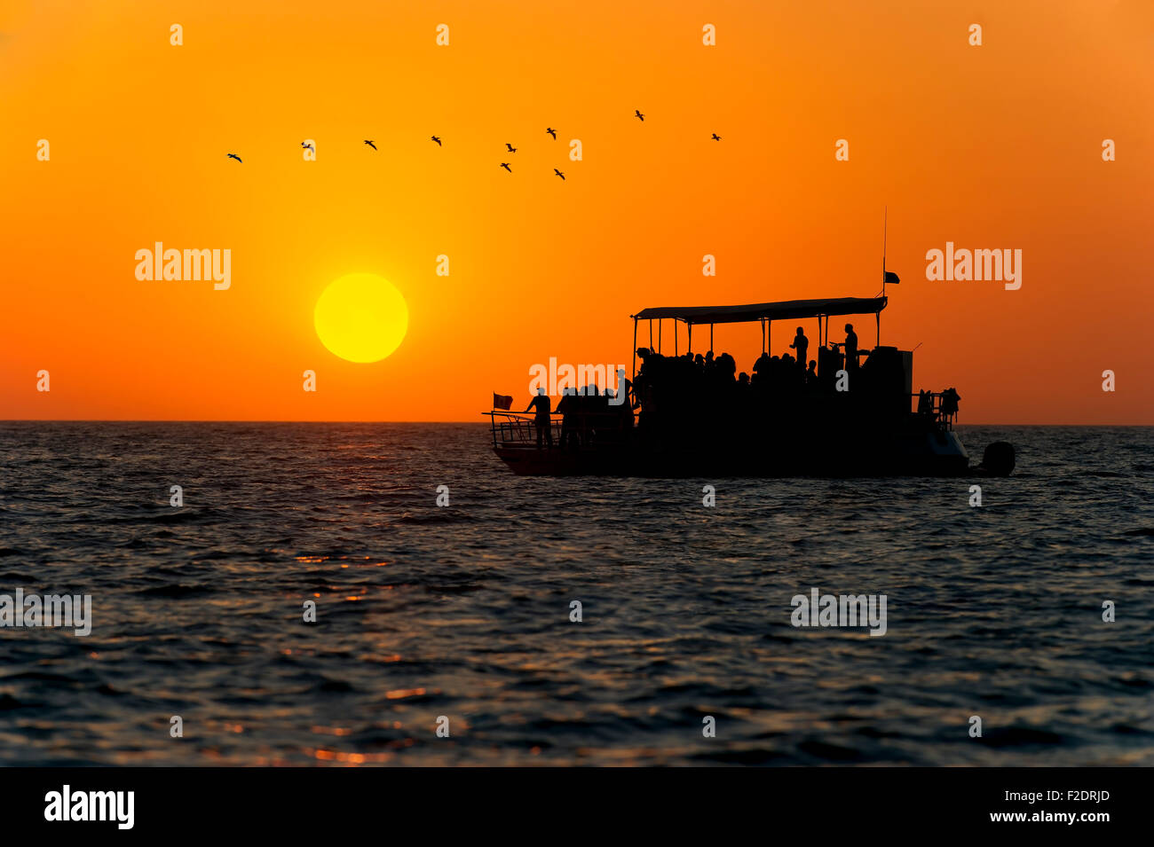 Imbarcazione Persone silhouette è una barca piena di passeggeri mentre uno stormo di uccelli vola in testa ed il sole tramonta sull'oceano orizzonte Foto Stock