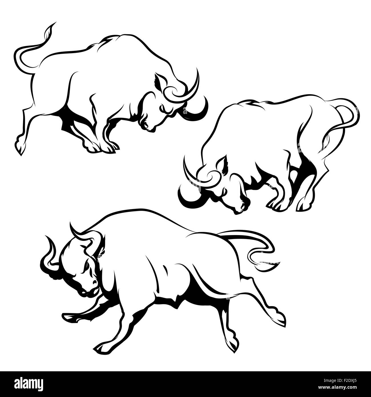Bull segno o emblema set. Esecuzione di Angry Bull in diverse pose. Isolato su sfondo bianco. Illustrazione Vettoriale