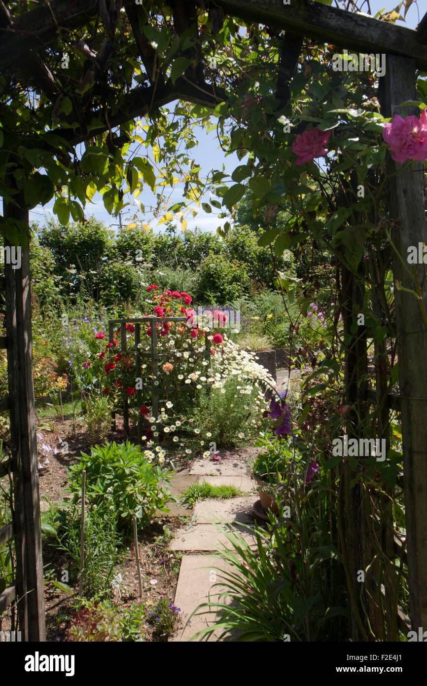Le rose che cresce su un arco in un giardino cottage in Cornovaglia su una giornata d'estate Foto Stock