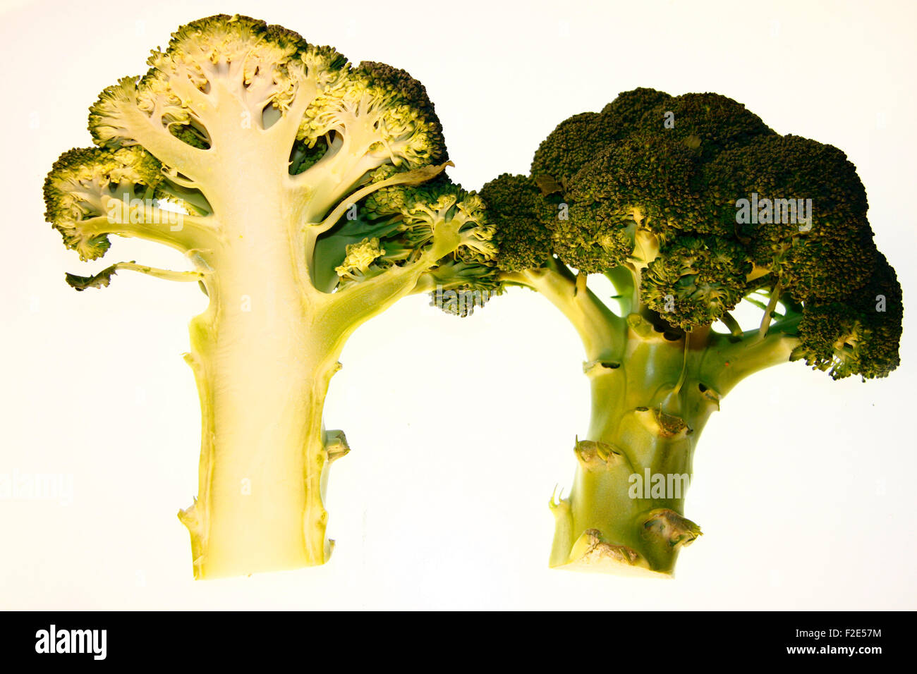 Brokkoli / broccoli - Symbolbild Nahrungsmittel. Foto Stock