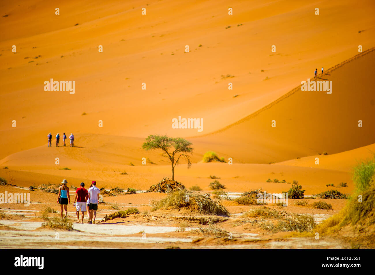 La gente a piedi attraverso il deserto in Sossusvlei, Namibia, Africa Foto Stock