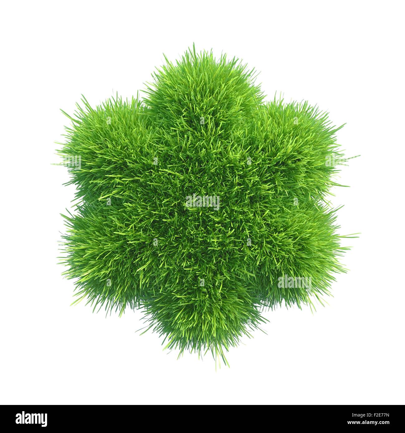 Erba verde segni di moltiplicazione Foto Stock