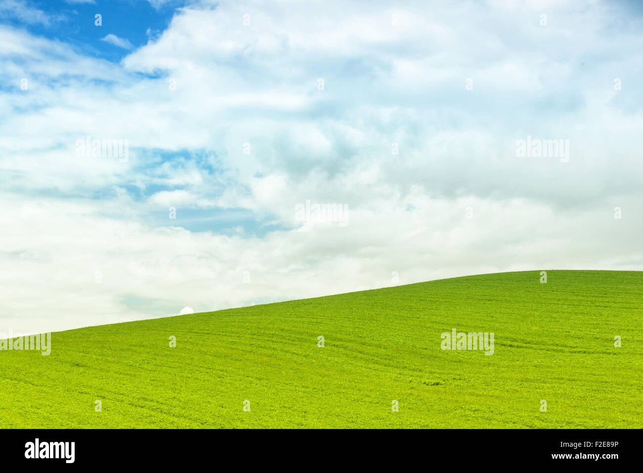 Lo sfondo del campo verde con il blu del cielo in Italia Foto Stock