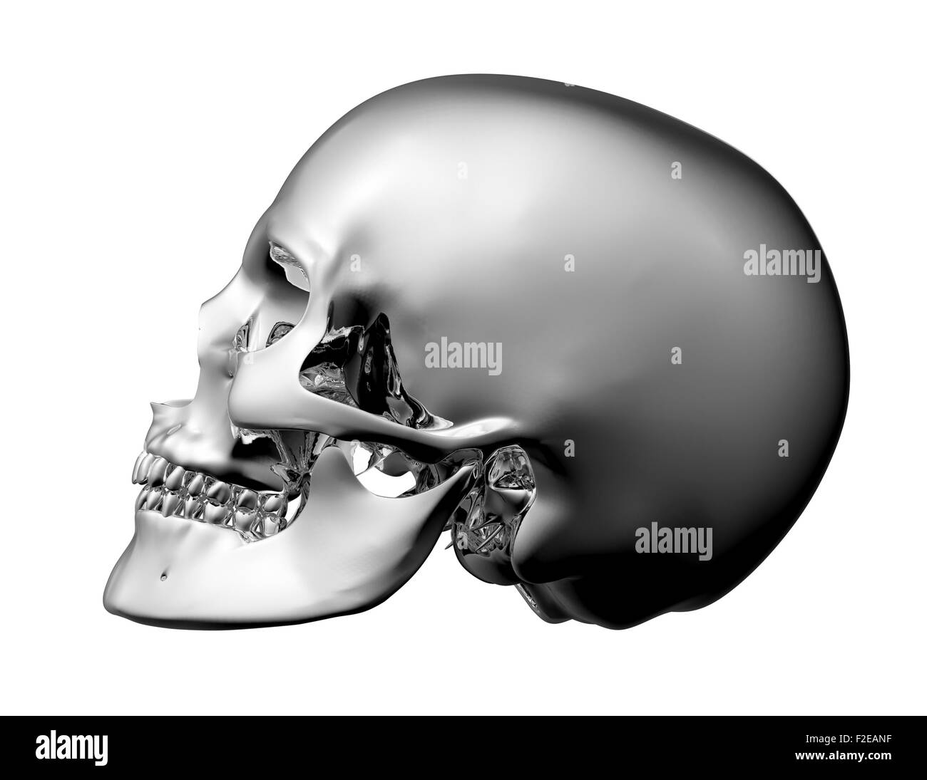 Scull metallico isolato su bianco con percorso di clipping. Foto Stock