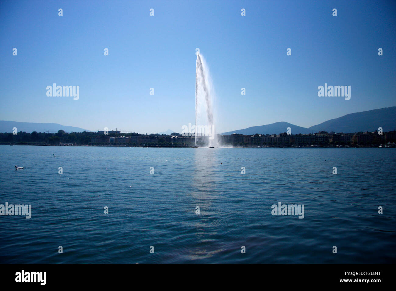 Genfer vedere, Genf Schweiz. Foto Stock