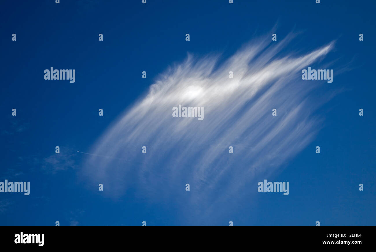 Intortus nuvole e cielo blu, REGNO UNITO Foto Stock