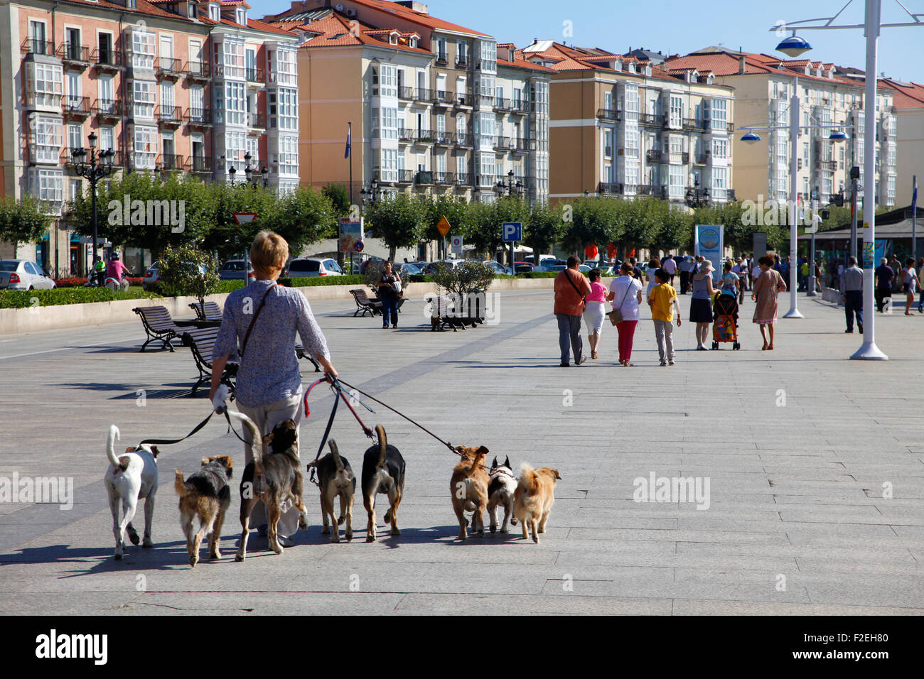 Dog walker, dog sitter a Santander, Spagna. Foto Stock