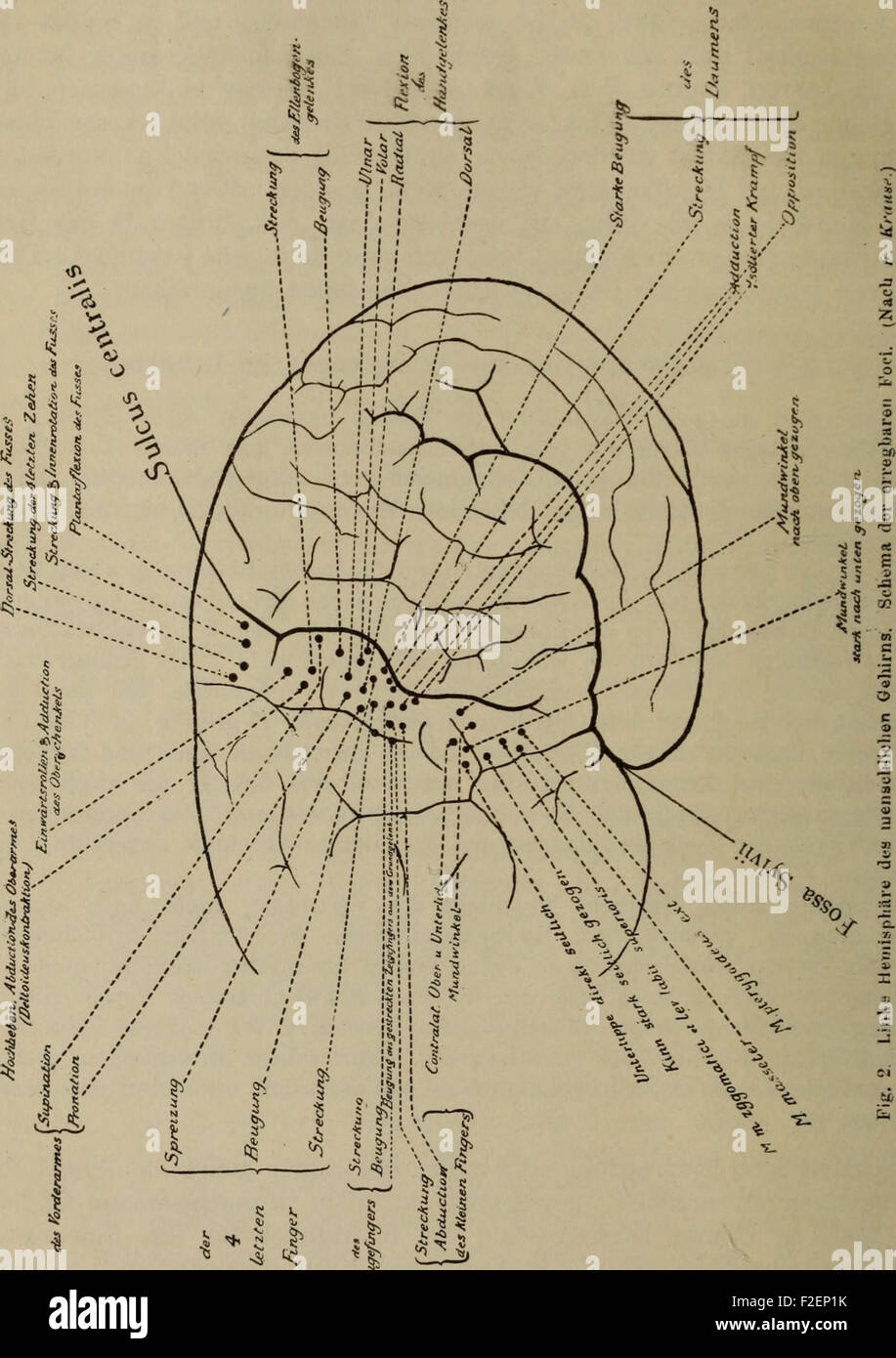 Lehrbuch der experimentellen psic (1922) Foto Stock