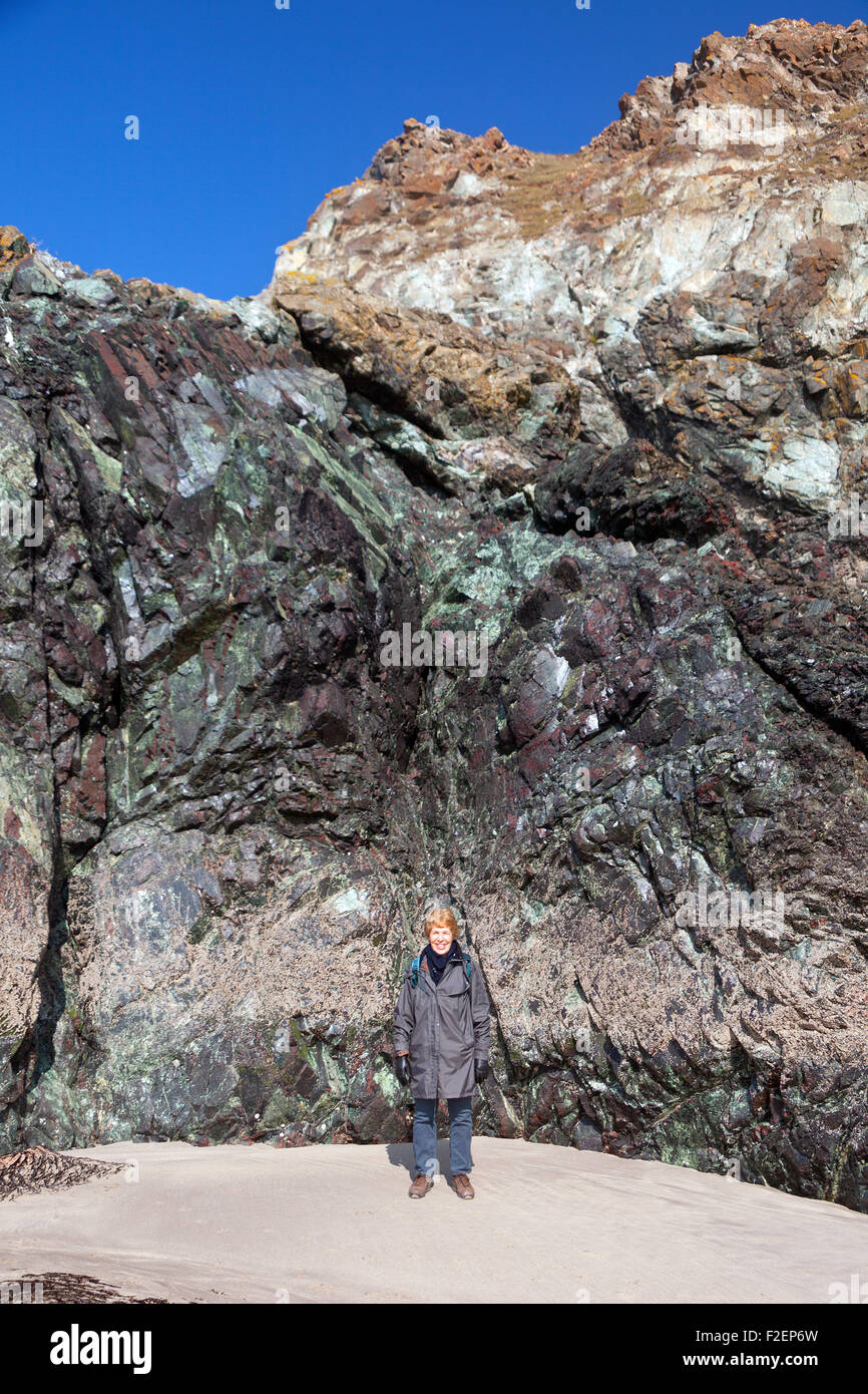 L unica Roccia a serpentina sulla spiaggia di Kynance Cove sulla penisola di Lizard, Cornwall, Regno Unito Foto Stock