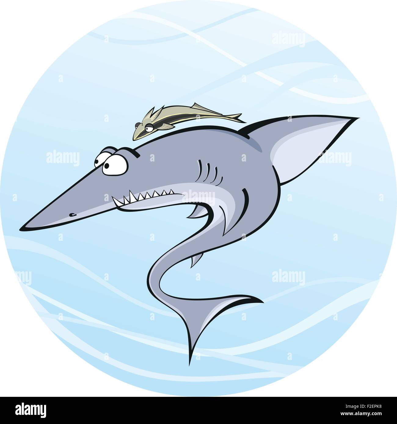 Shark con remora Illustrazione Vettoriale