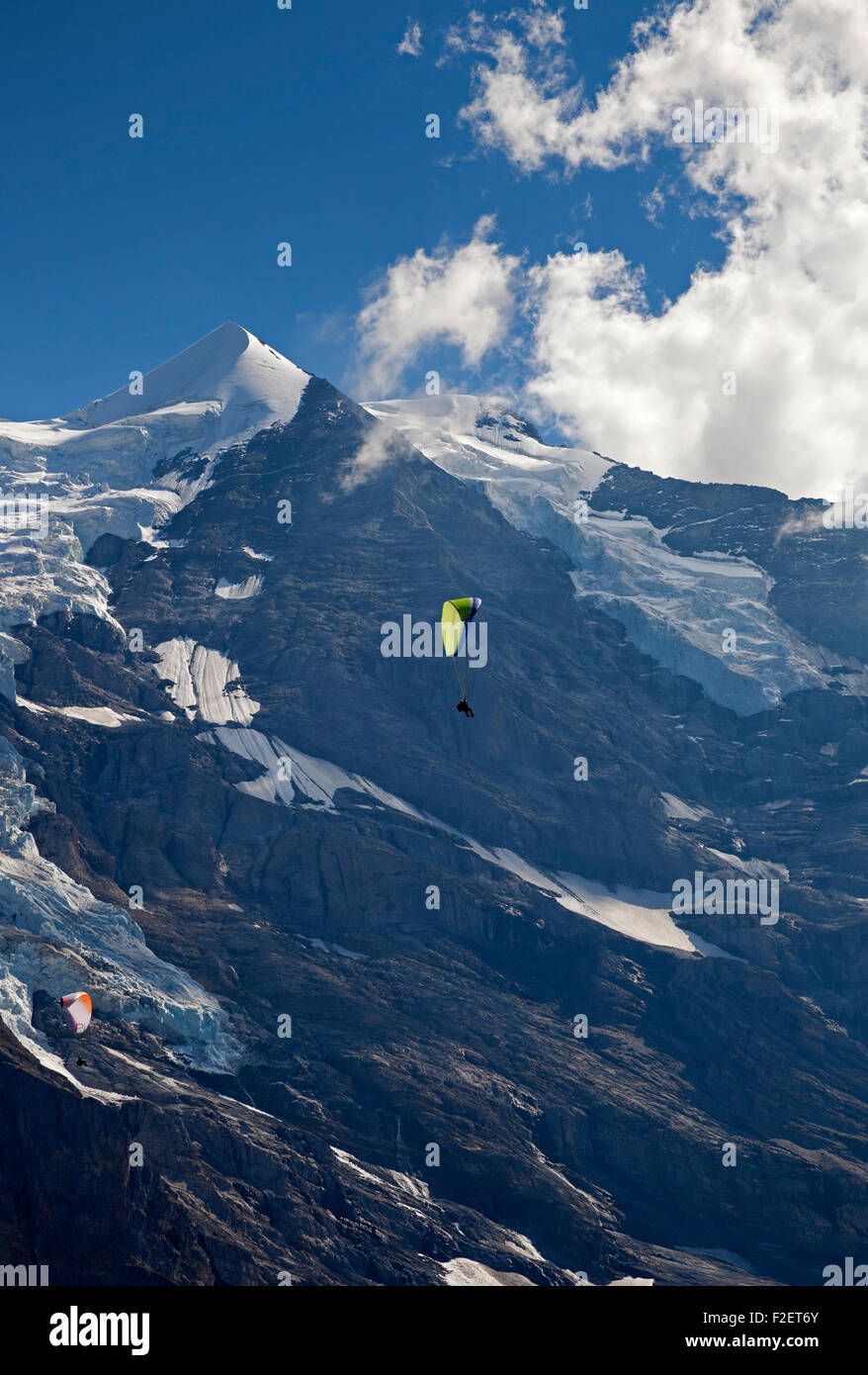 Parapendio in alpi svizzere con picco coperto di neve in background tra Jungfrau e Breithorn Svizzera Europa Foto Stock