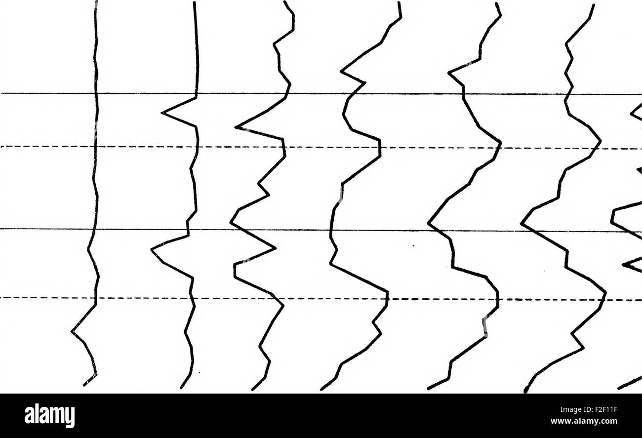"The Relation between Solar prominences and Terrestrial Magnetism" (1902) esplora la connessione scientifica tra attività solari, come le prominenze solari, e il loro impatto sul magnetismo terrestre. Lo studio fa parte della prima ricerca di fisica solare, contribuendo alla comprensione delle interazioni solare-terrestre. Foto Stock