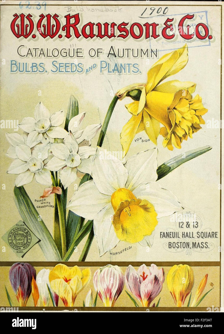 Catalogo delle lampadine di autunno, semi e piante di piccole dimensioni Foto Stock