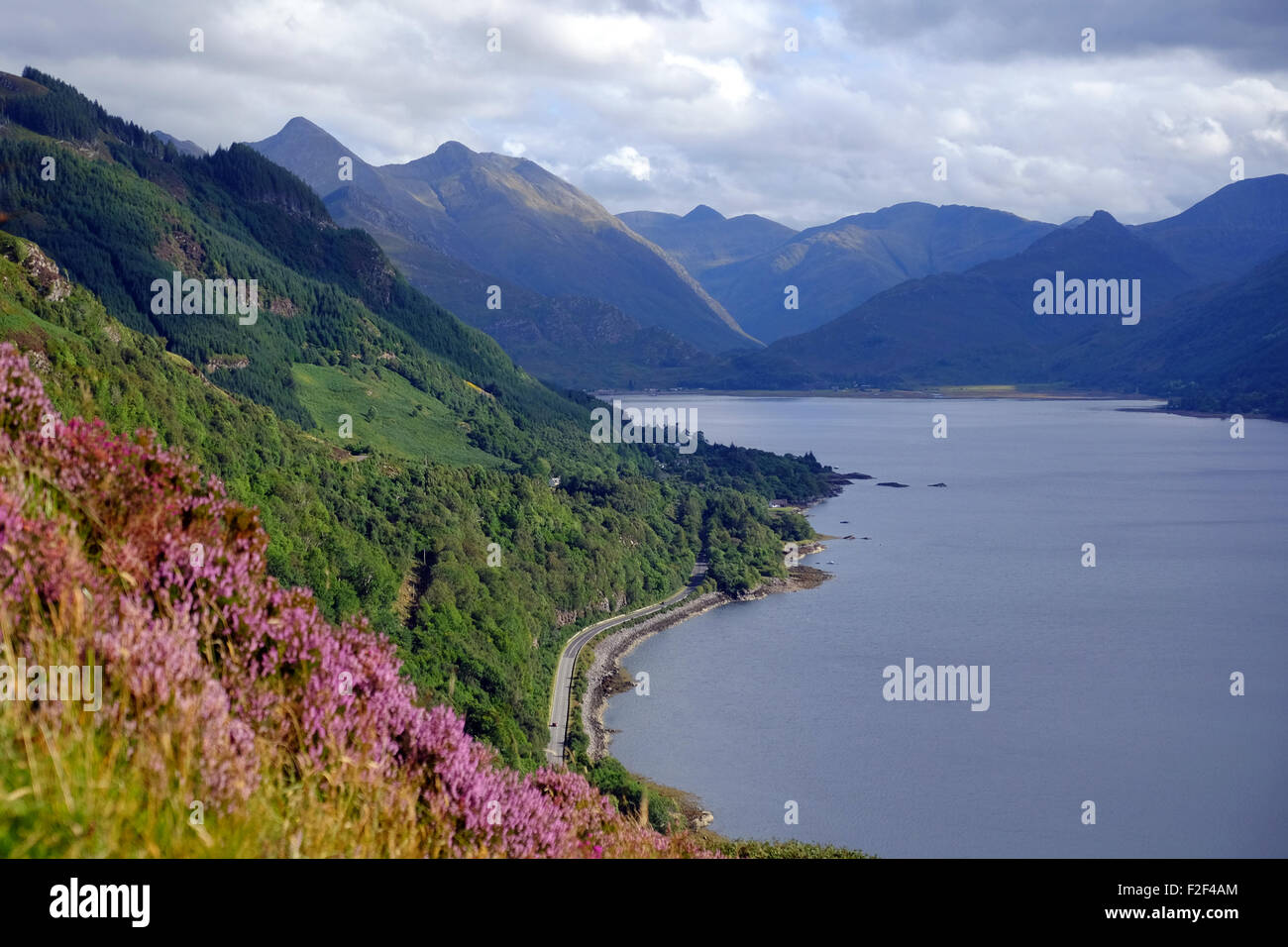 Guardando verso Est lungo il Loch Duich verso le cinque sorelle di Kintail nel West Highlands della Scozia Foto Stock