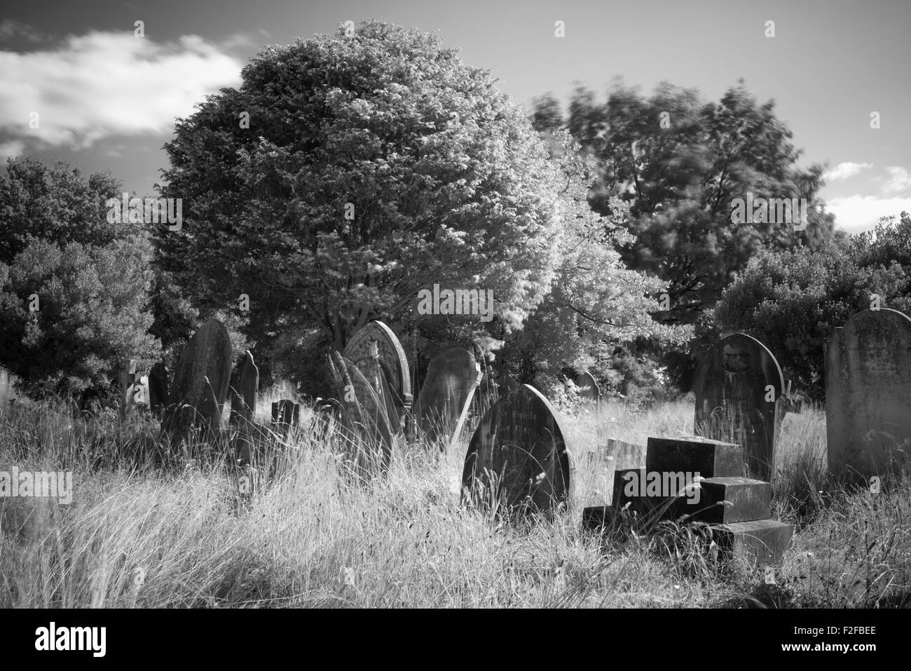 Una vista del cimitero di Kingston Foto Stock