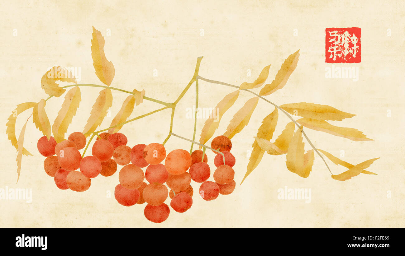 Cenere di montagna e-collage con texture della carta Foto Stock