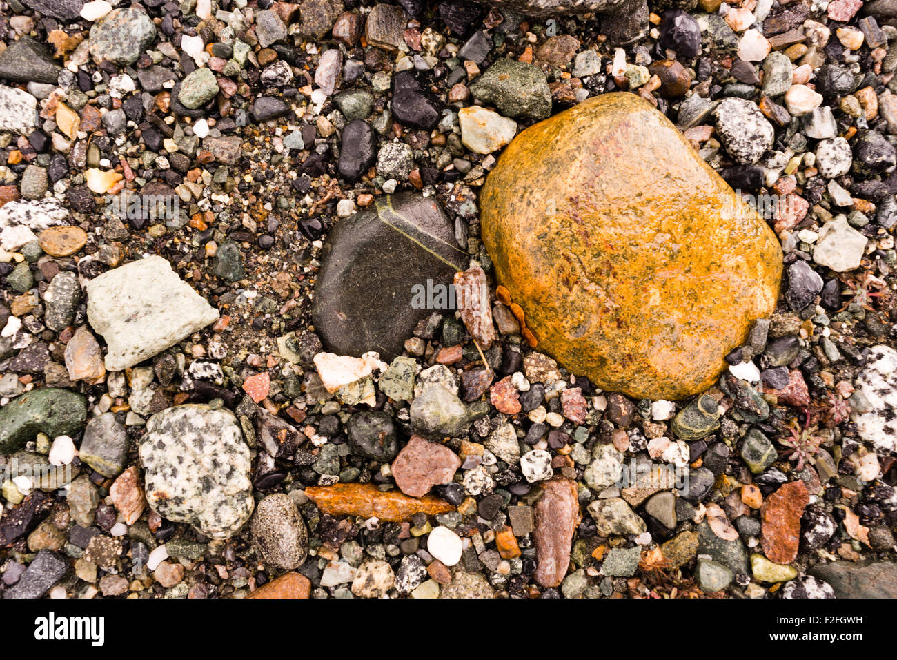 Una ampia varietà di rocce compongono la terra a bordo del fiume in Alaska Foto Stock