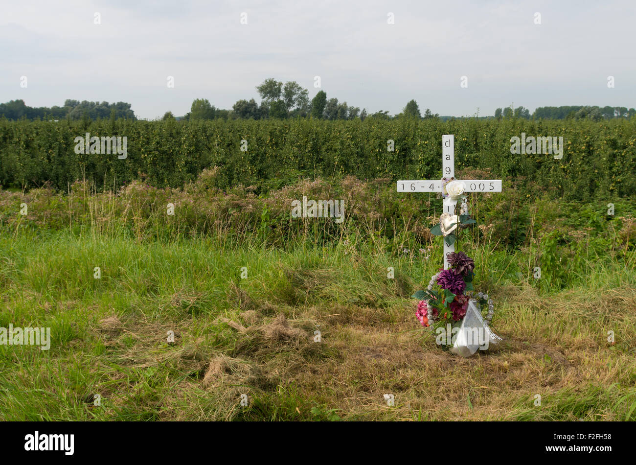Ricordo piccola croce lungo una strada nei Paesi Bassi Foto Stock