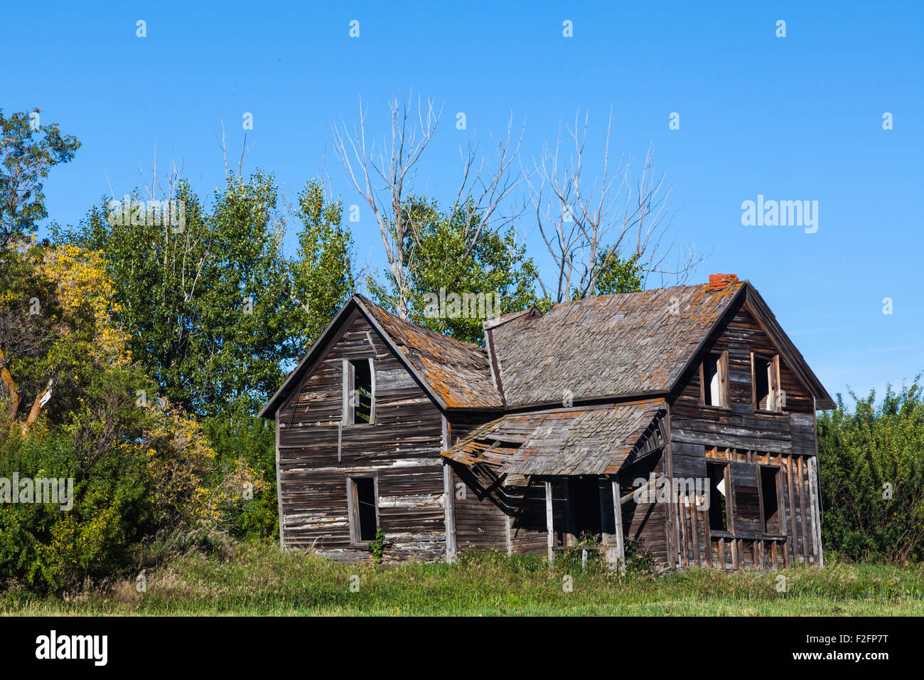 Fattoria abbandonata in un campo nei pressi di leduc Alberta, Canada Foto Stock