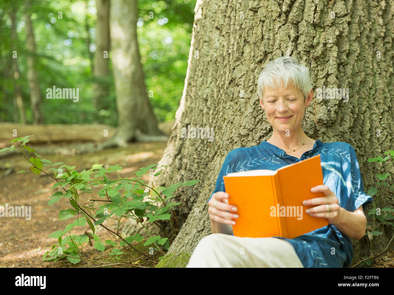 Senior sorridente donna libro lettura contro l'albero nel bosco Foto Stock