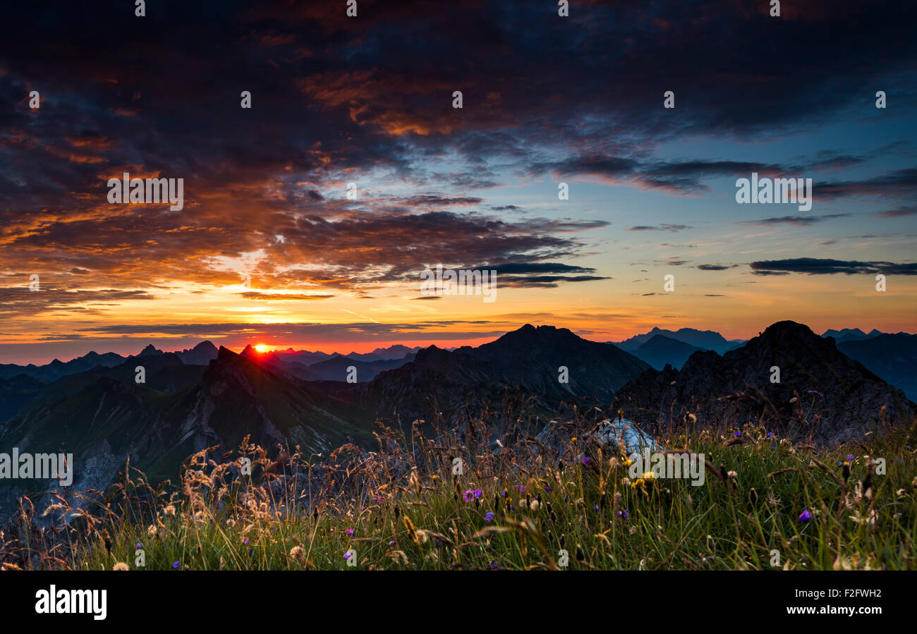 Alba sulle montagne Allgäu con prato fiorito, Algovia Alpi, Algovia, Baviera, Germania Foto Stock