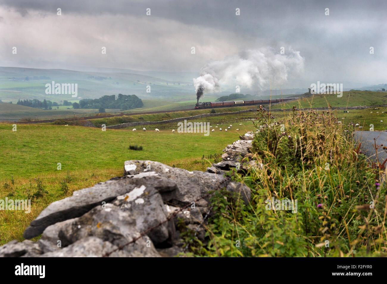 Un treno a vapore che sale speciale il gradiente ripido di stabilirsi a Carlisle railway in un giorno di pioggia, Selside, North Yorkshire, Regno Unito. Foto Stock