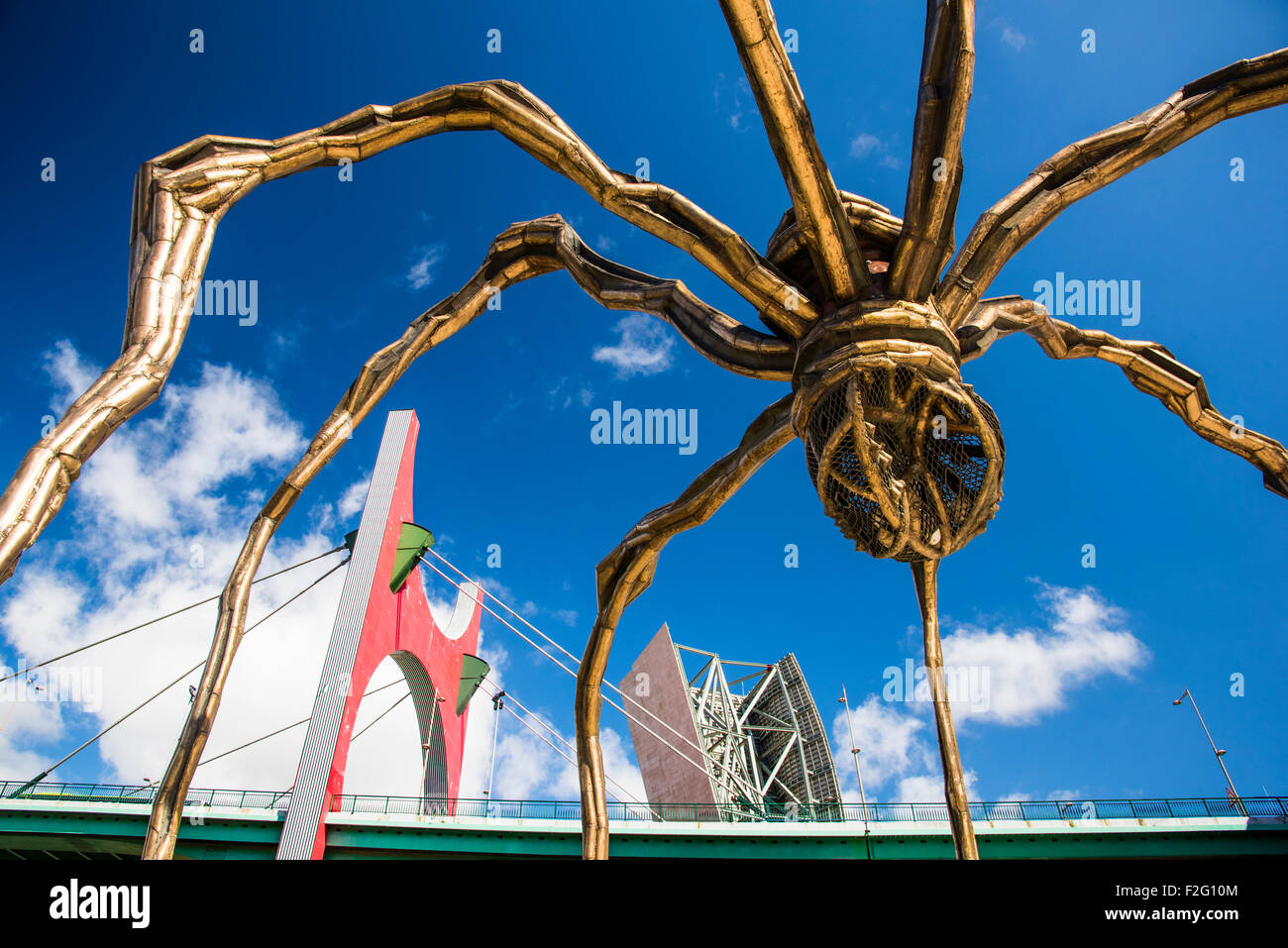 "Maman" - spider scultura di Louise Bourgeois con la Salve a ponte sullo sfondo, Bilbao, Biscaglia, Spagna Foto Stock