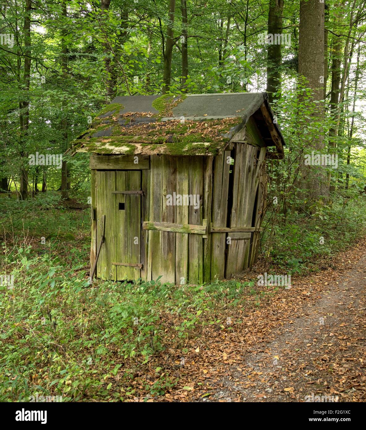 Rundown piccolo cottage in una foresta Foto Stock