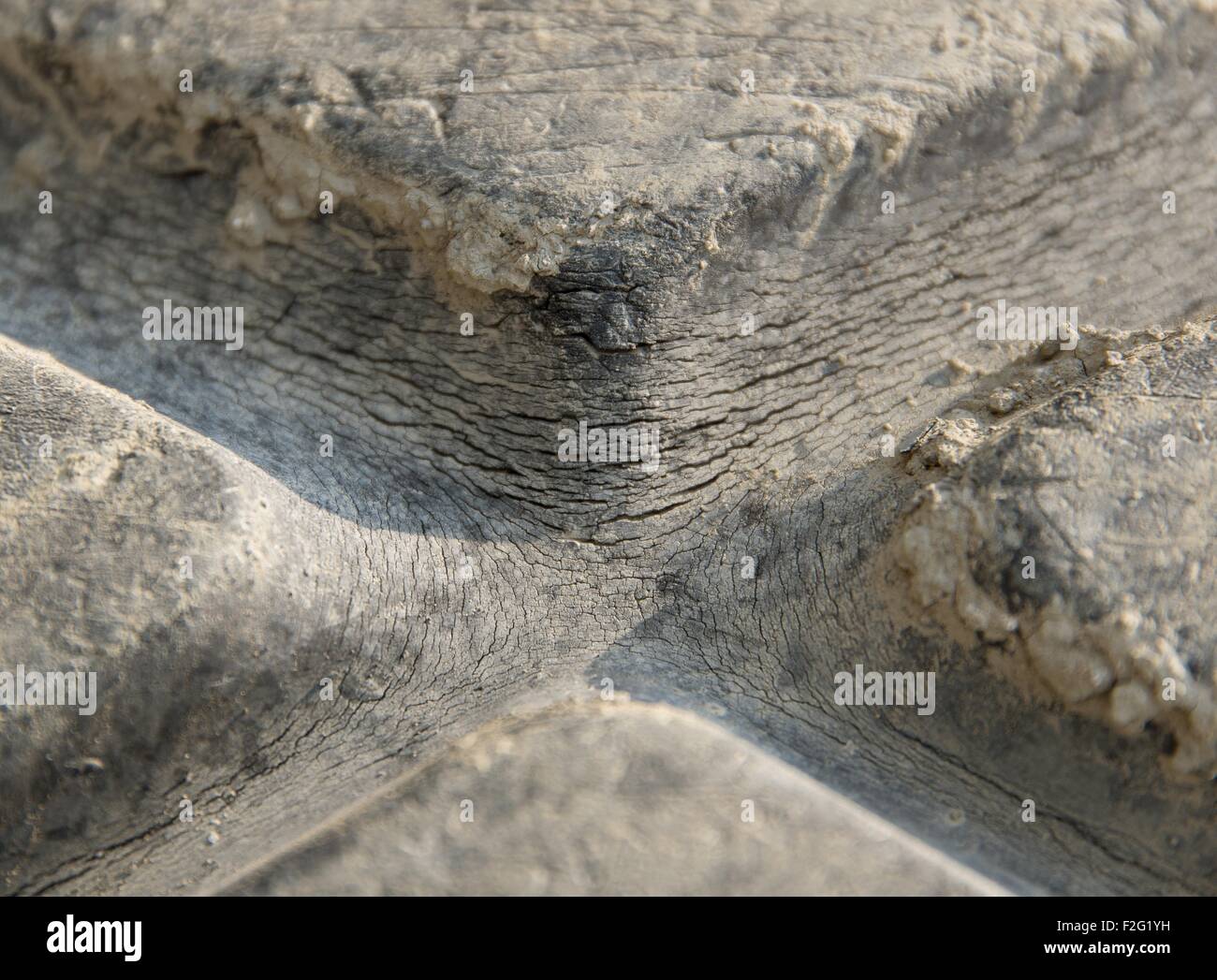 Telaio completo dettaglio di un fesse pneumatico in gomma Foto Stock